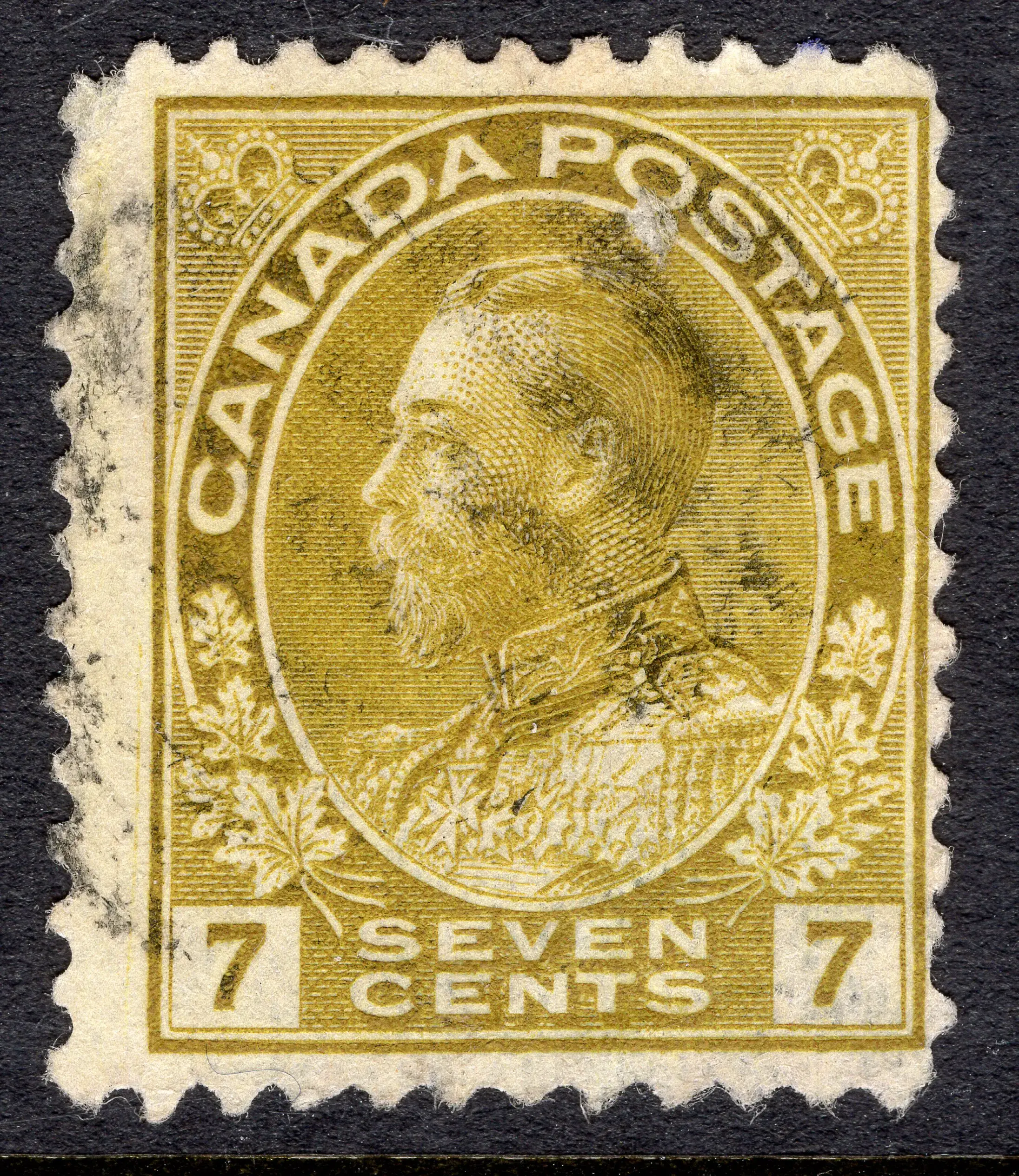 Image provided by STY