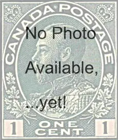 1 No Photo.webp