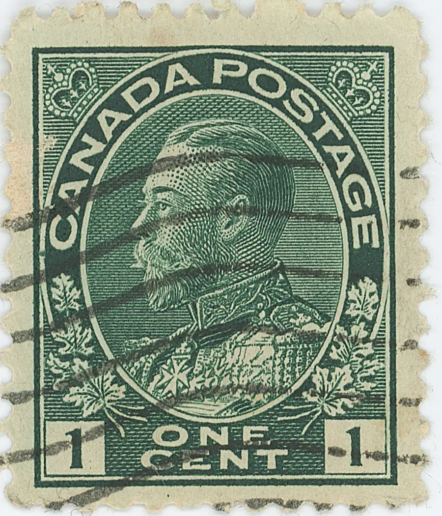 1¢G F Z8 HG.webp