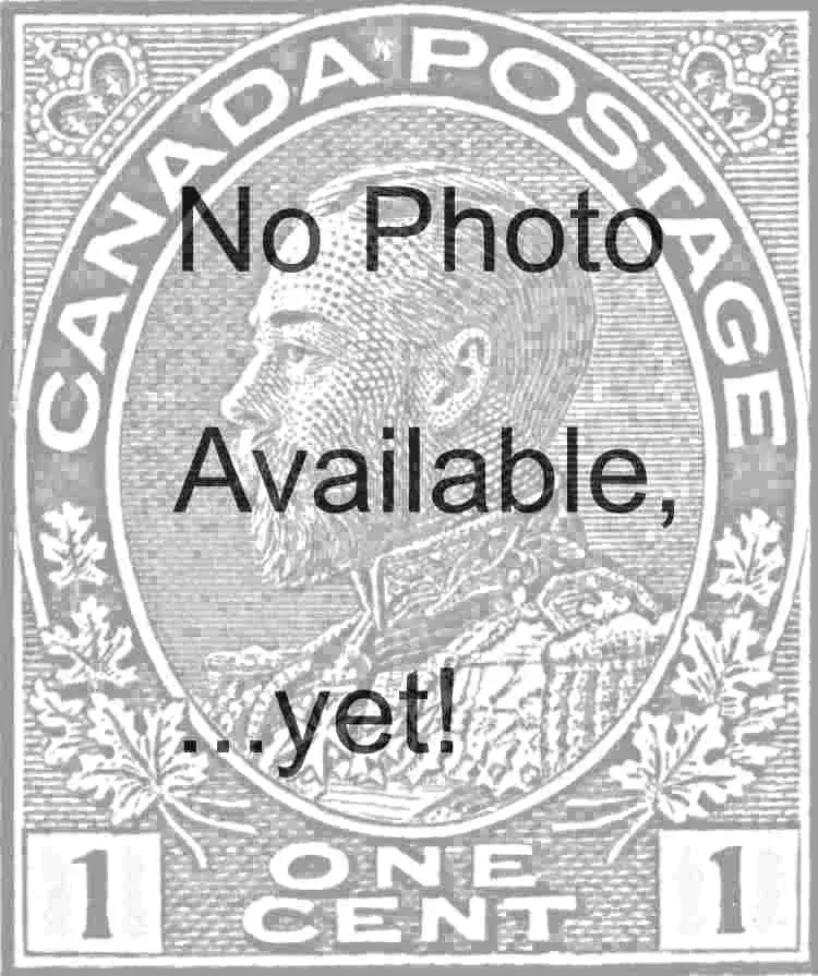 1 Yellow No Photo.webp