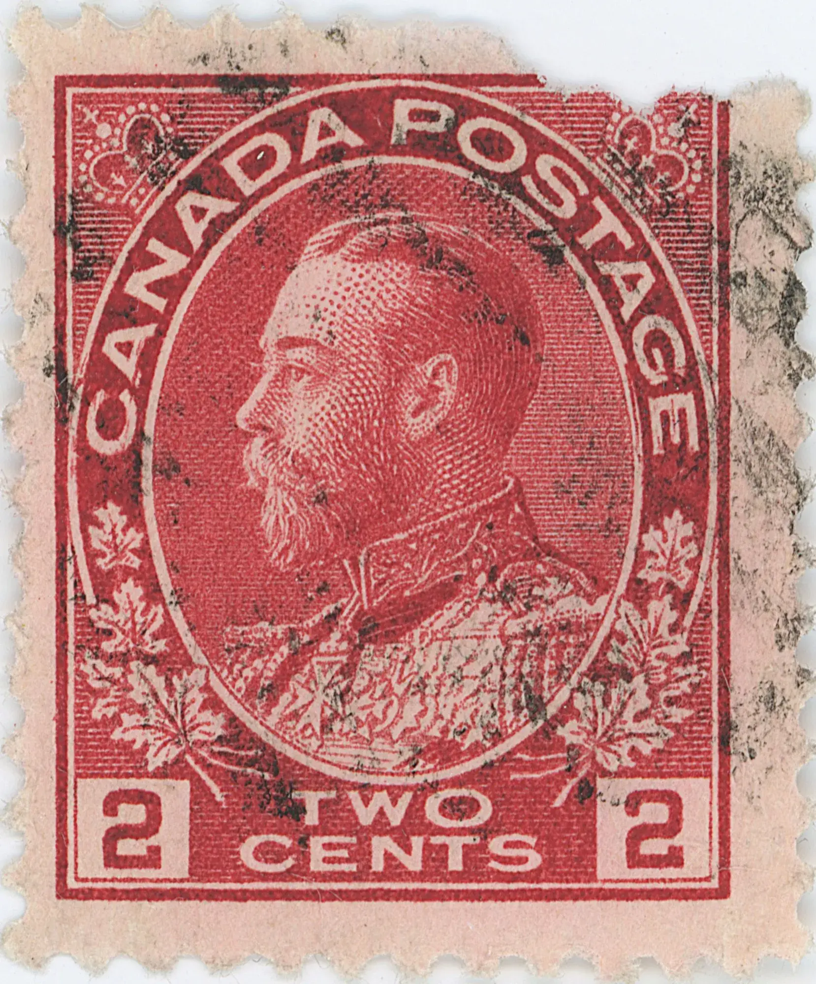 2¢c-46ll4.webp