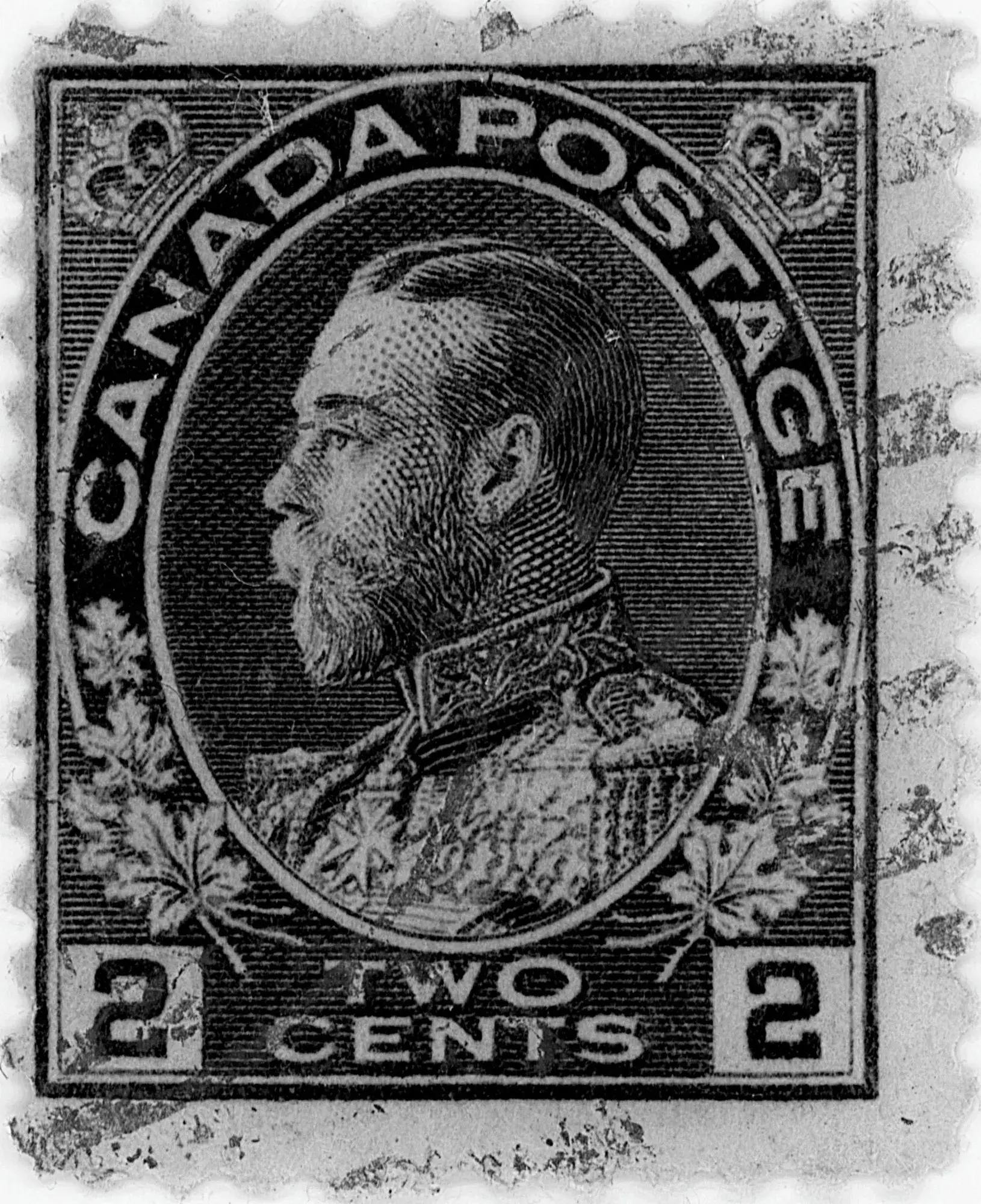 2¢c-89ll81-q-bw.webp