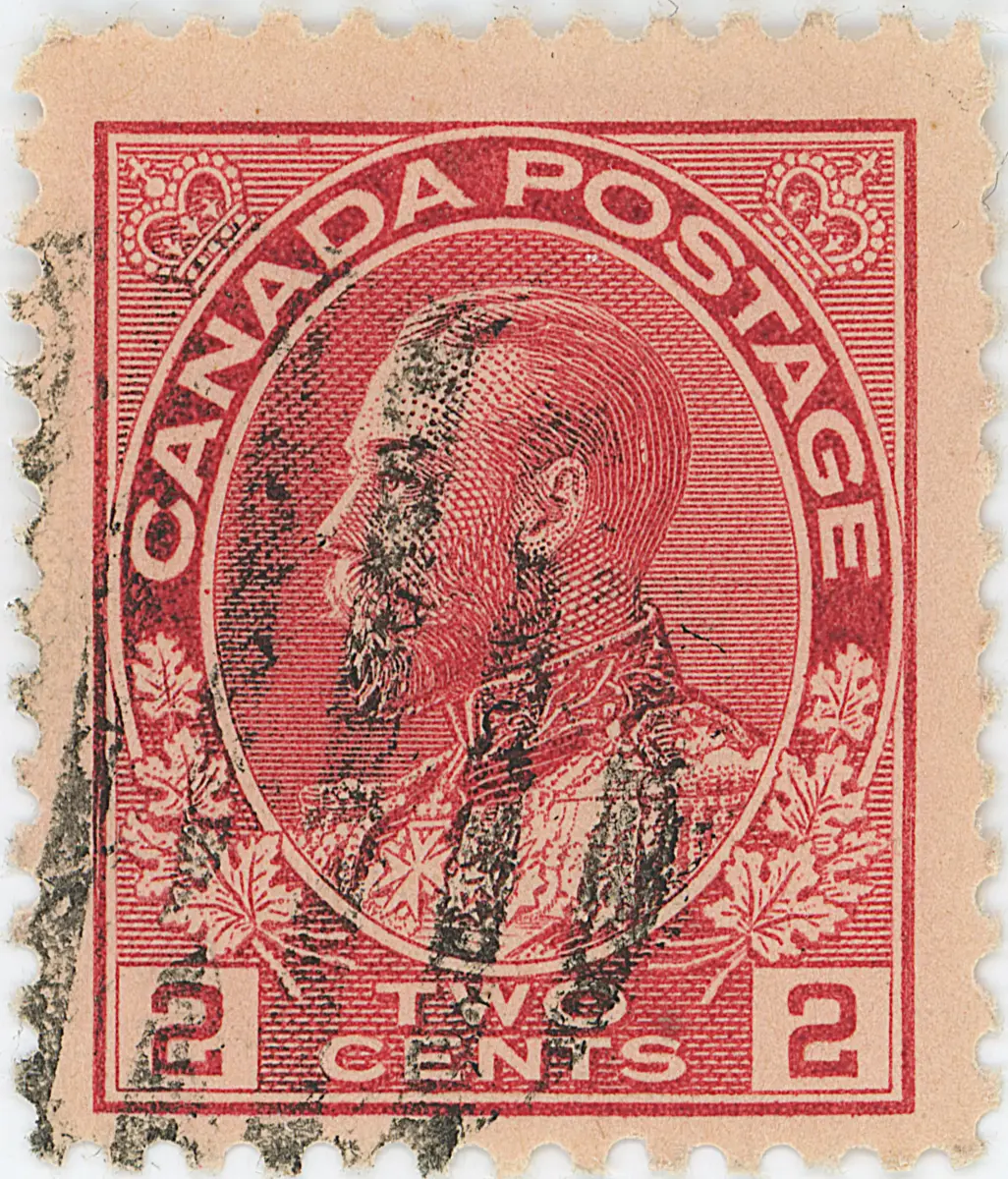 2¢C  f z8 fp b.webp