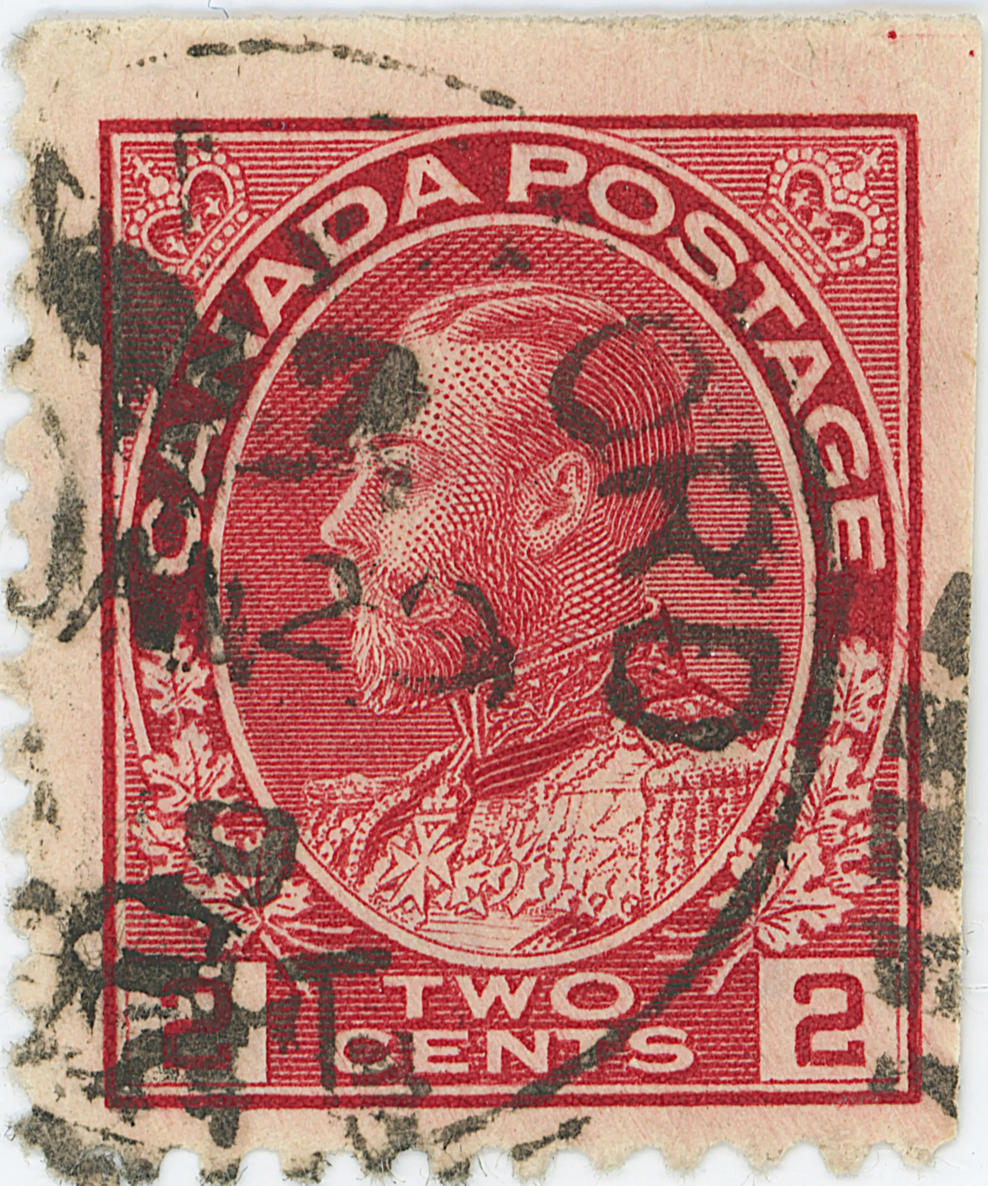 2¢C PD LL10 ae.webp