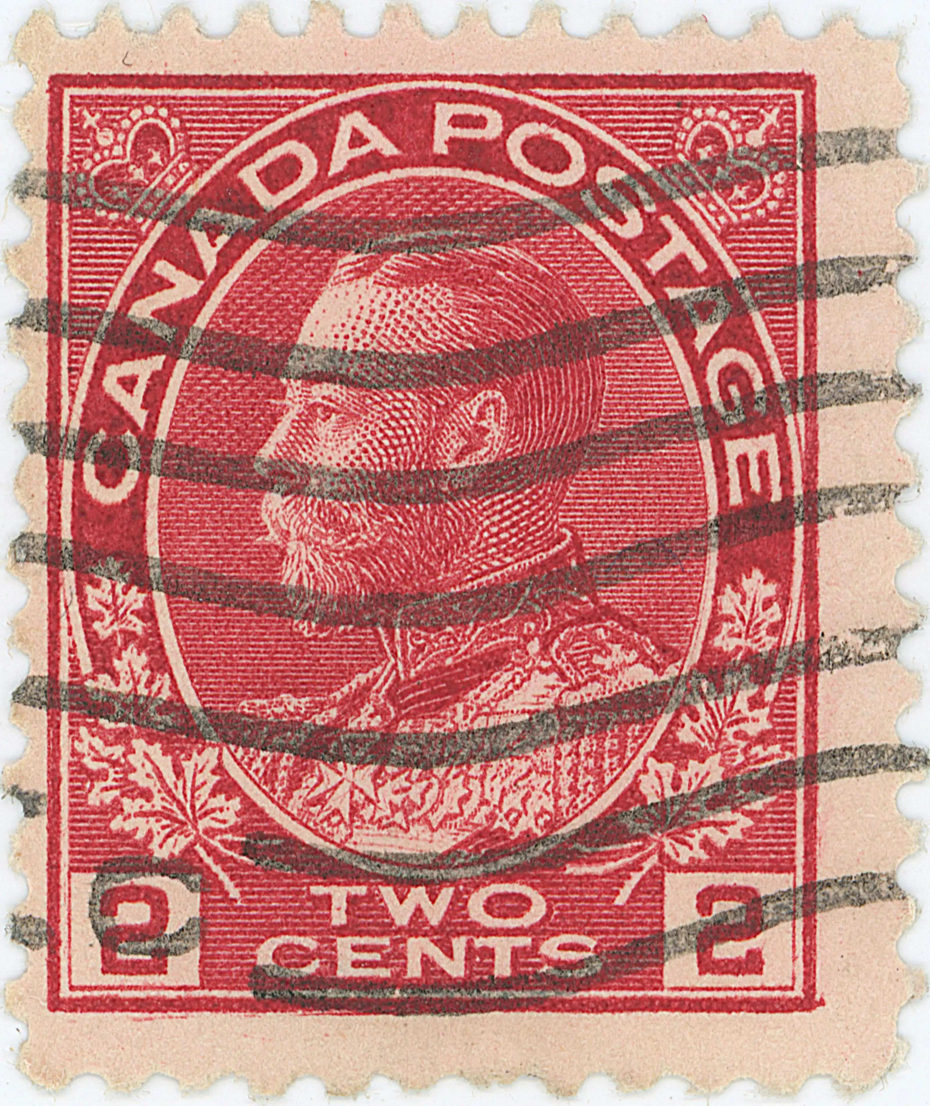 2¢C r z 31 cd .webp