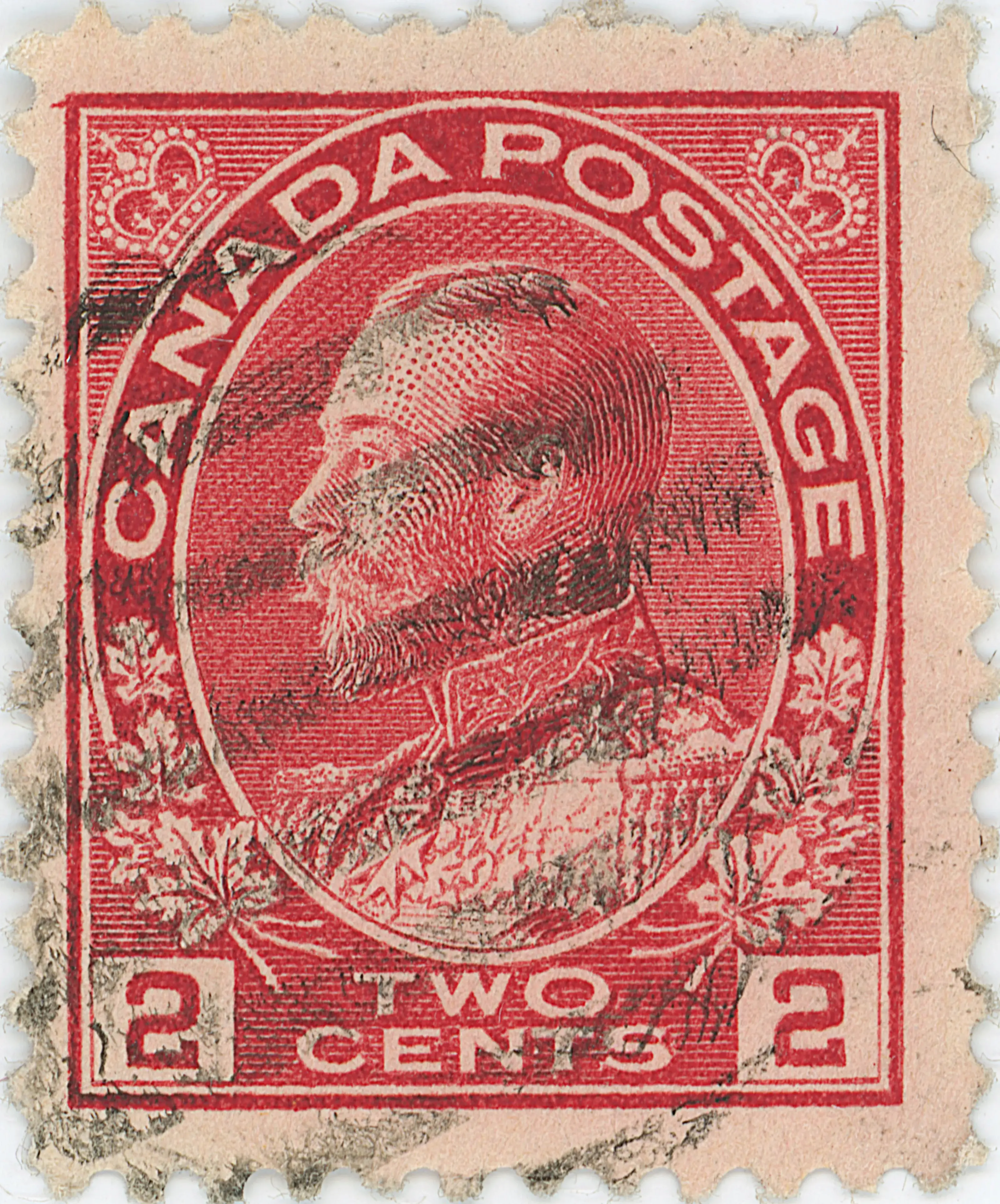 2¢C T Z8 JH.webp