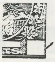 Reiche 2¢ G - 3.webp