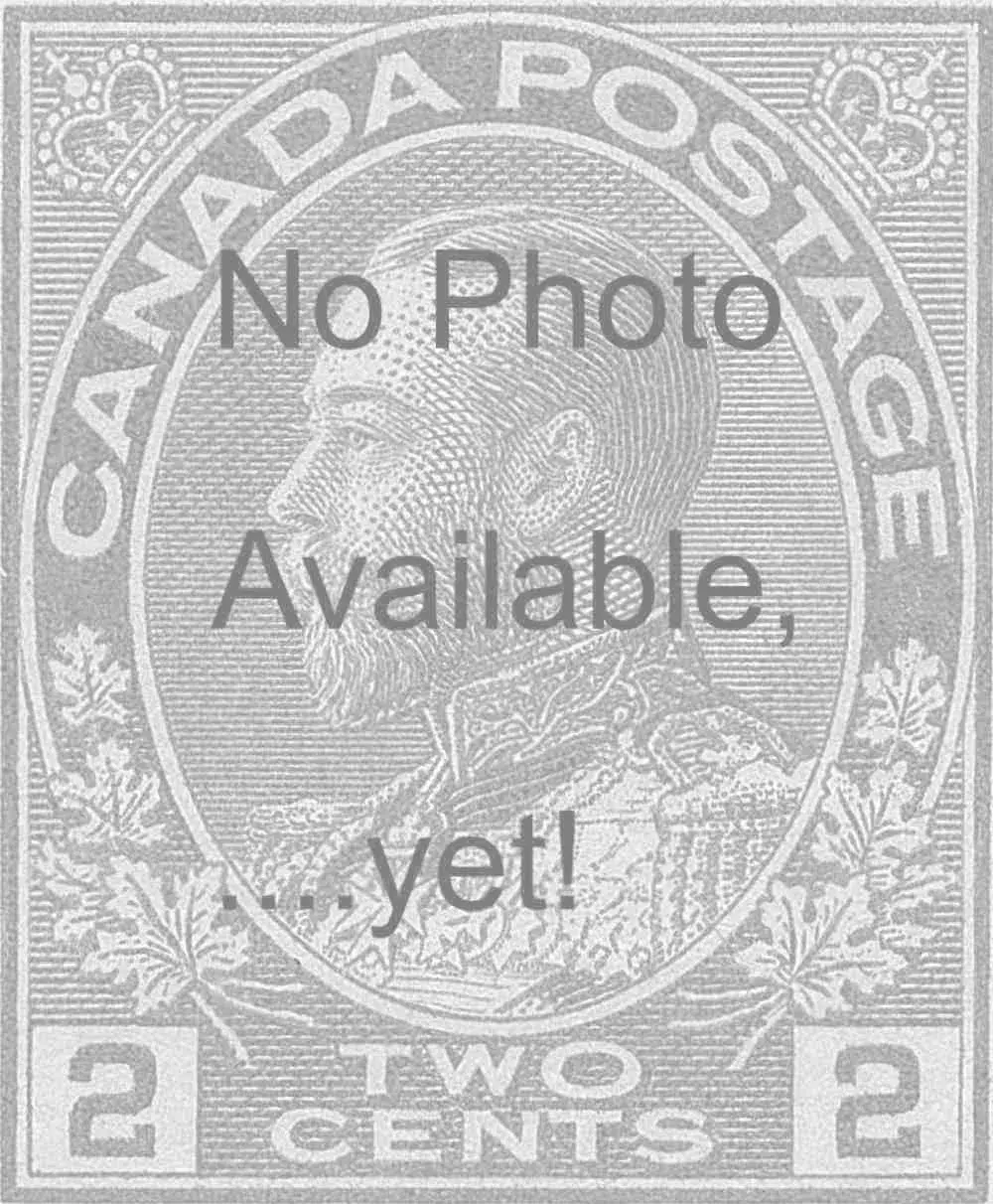 2 greem No Photo.webp