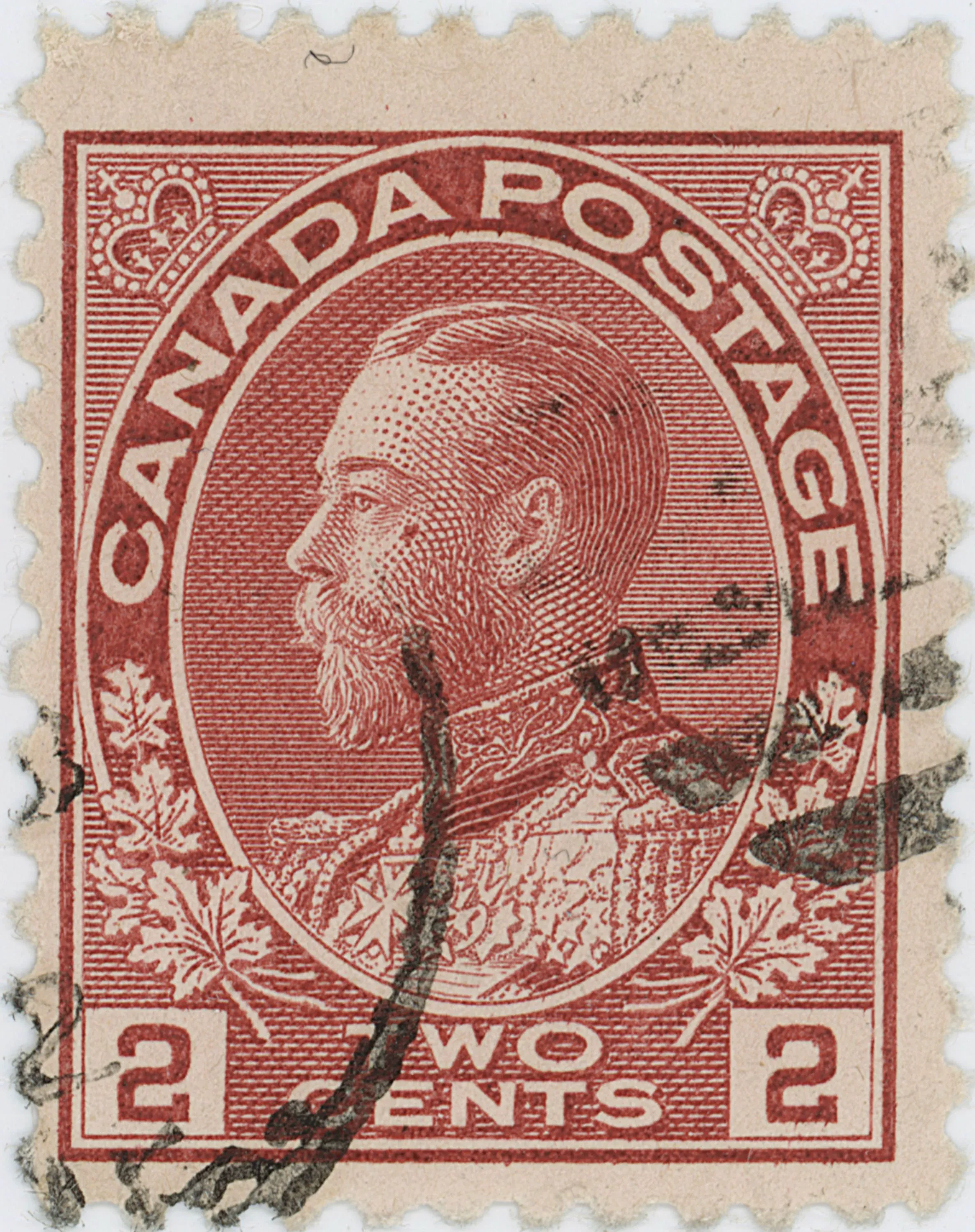 2¢C Cheek a 12 24.webp