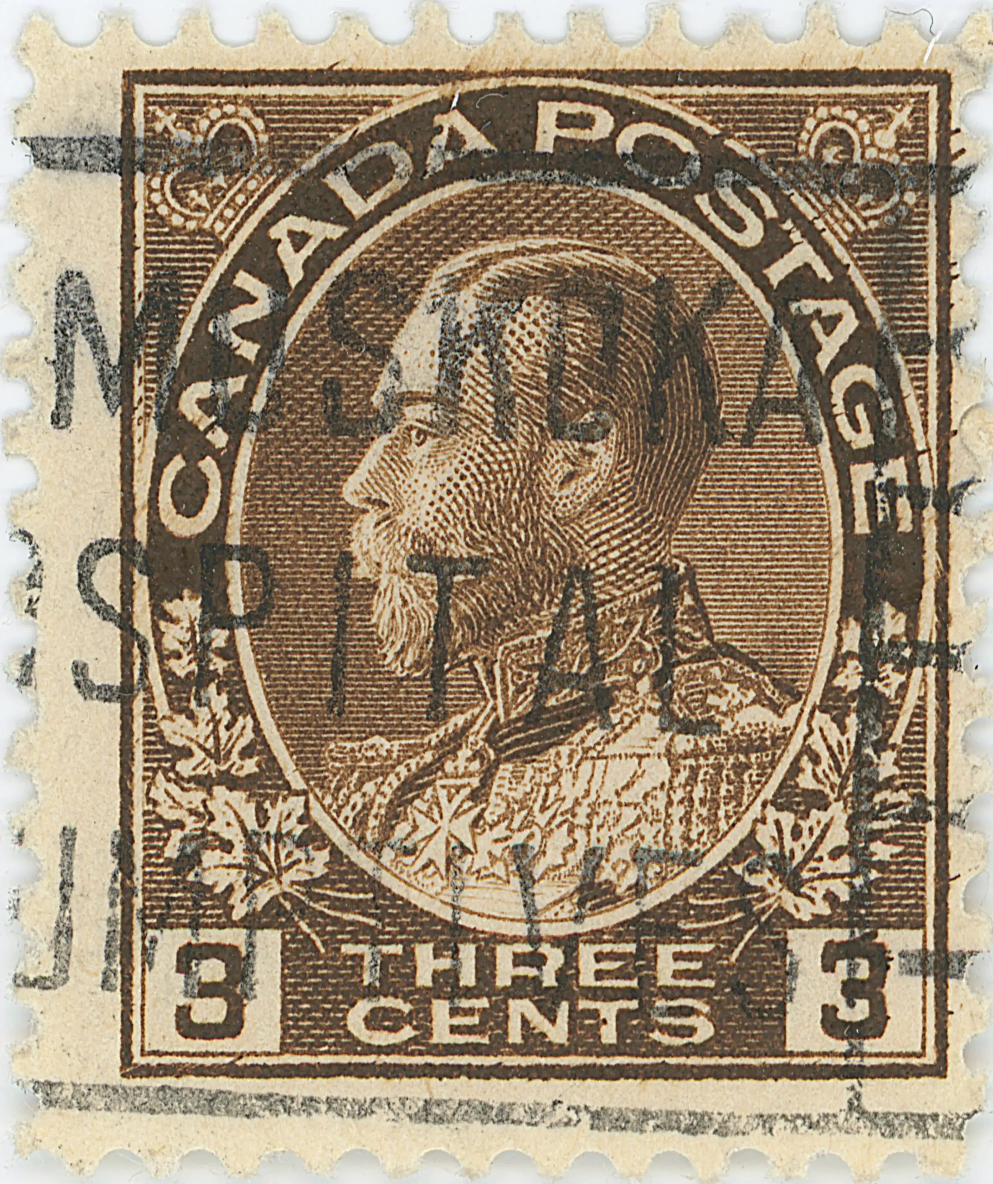 3¢B f z8 ROA 8-0 b.webp