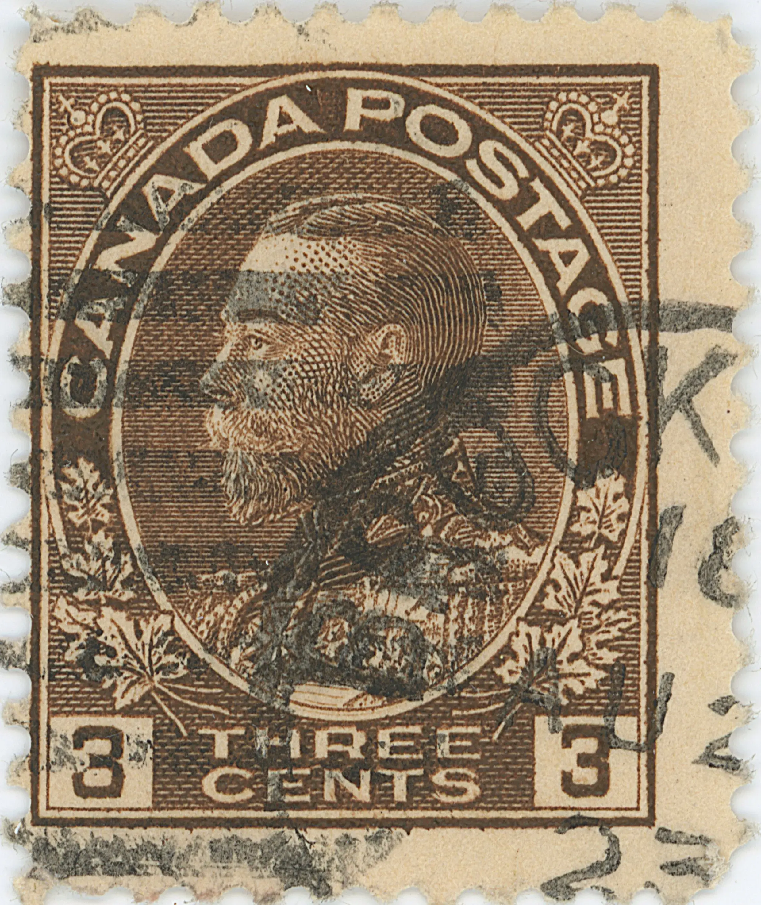 3-cent-brown-re-entry-bottom-b.webp