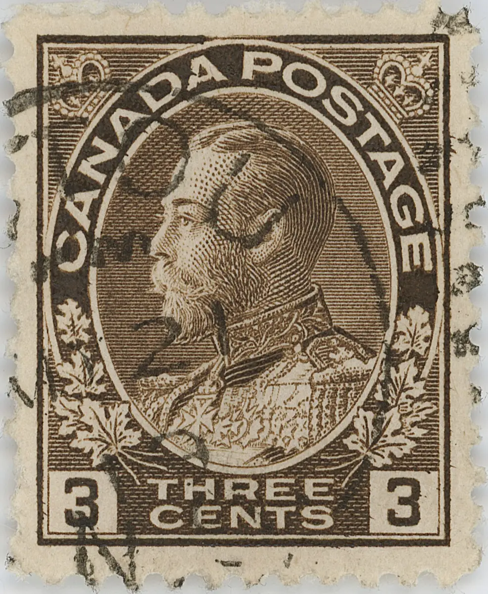 3-cent-brown-re-entry-top-b.webp
