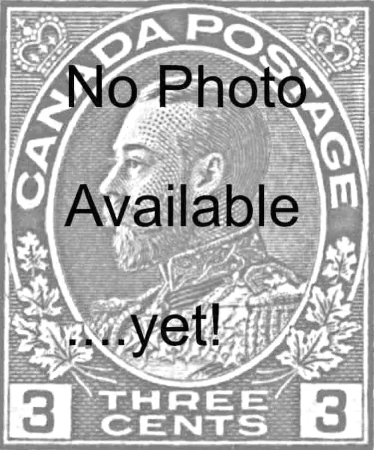 3 Carmine No Photo.webp