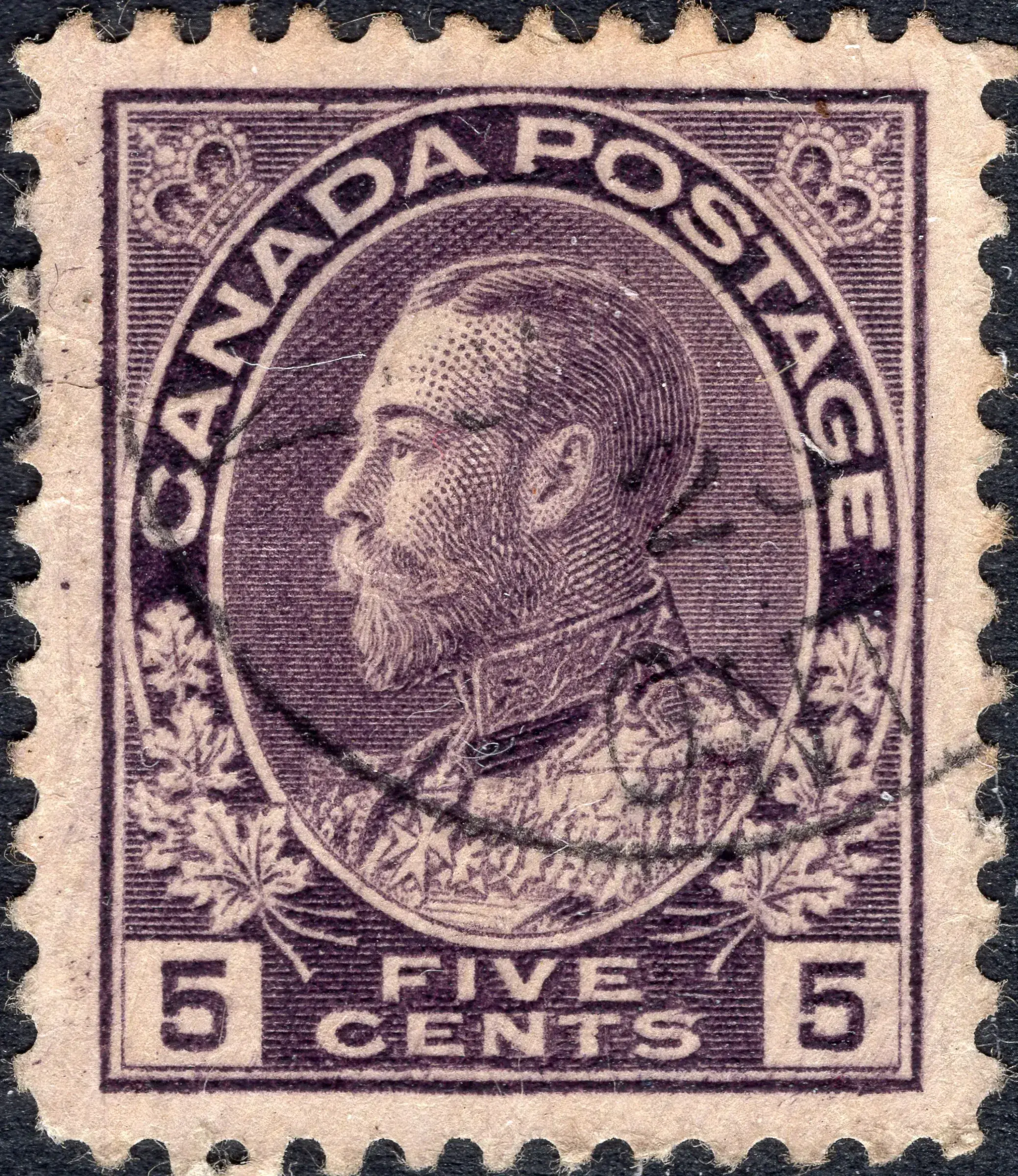 5¢V F Z9 STY.webp