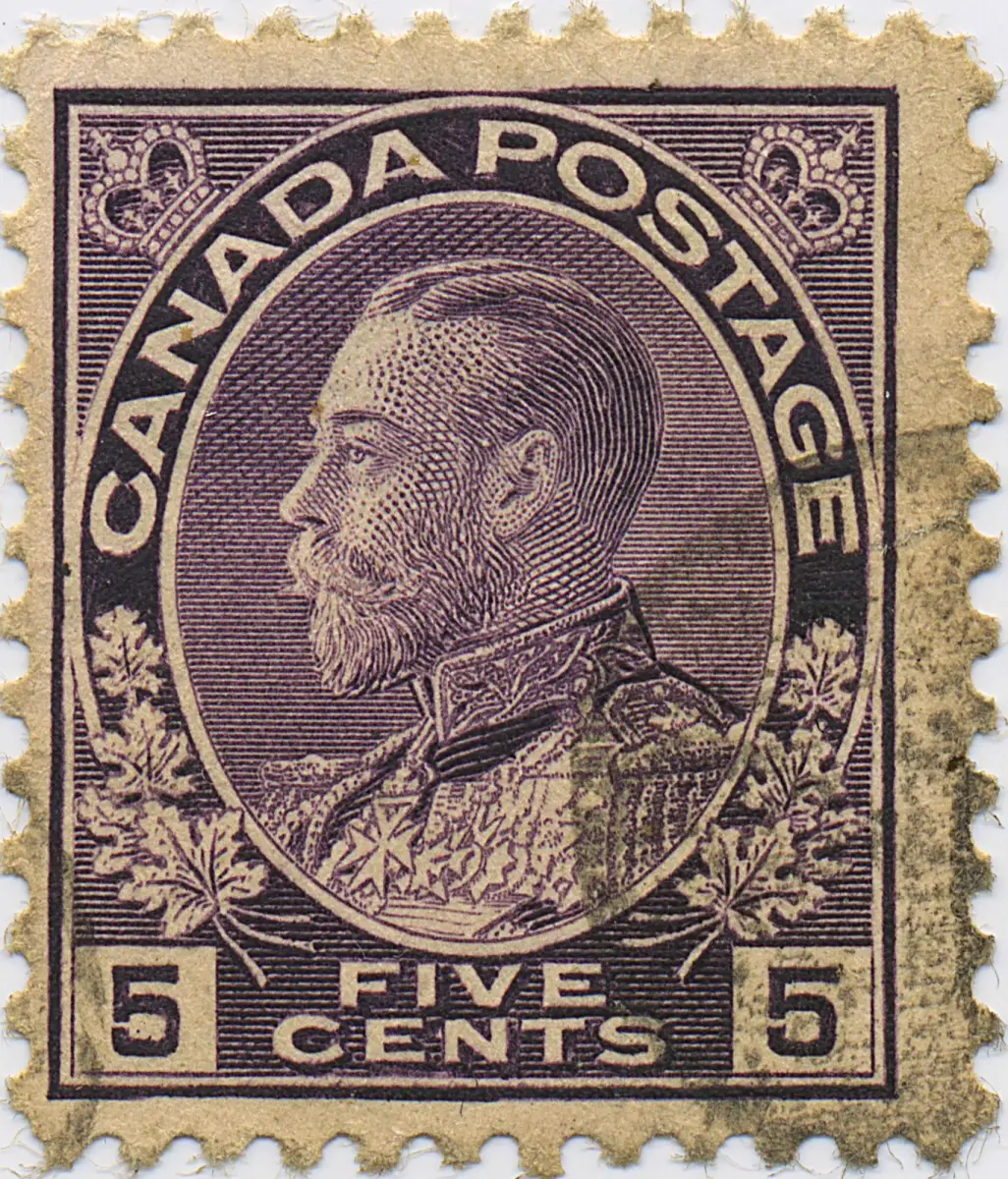 five-cent-violet-17lr93.webp