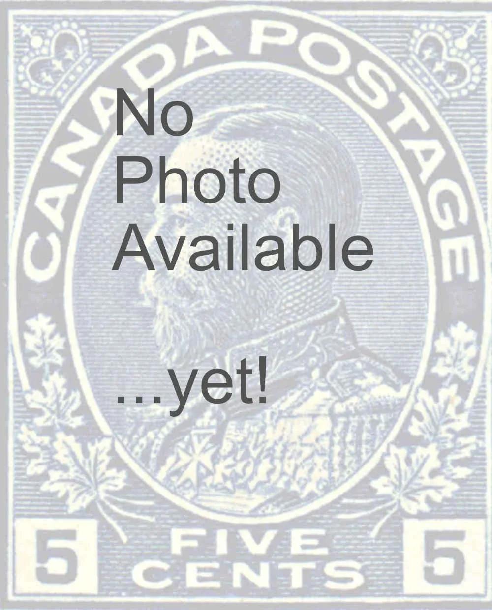 five-cent-violet-17lr94.webp