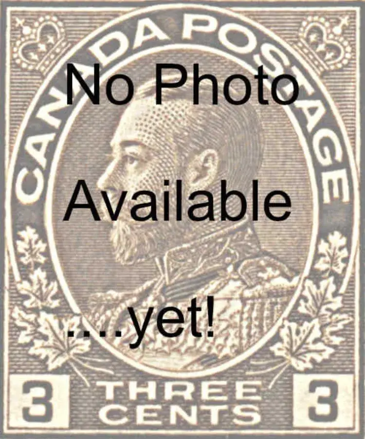 three-cent-brown-63ur14.webp