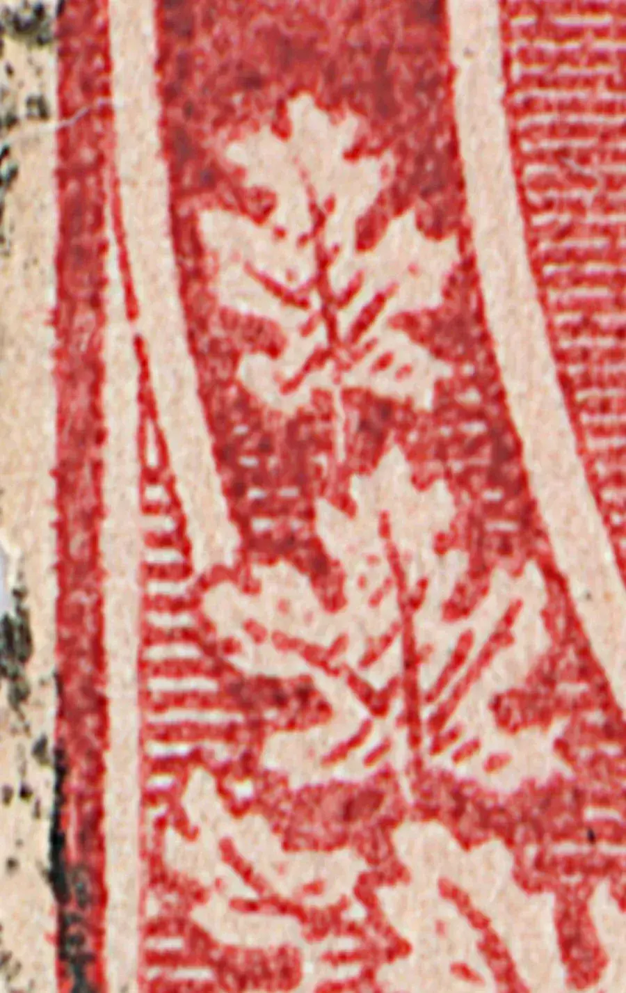 2_Cc_SRR5_cu.webp