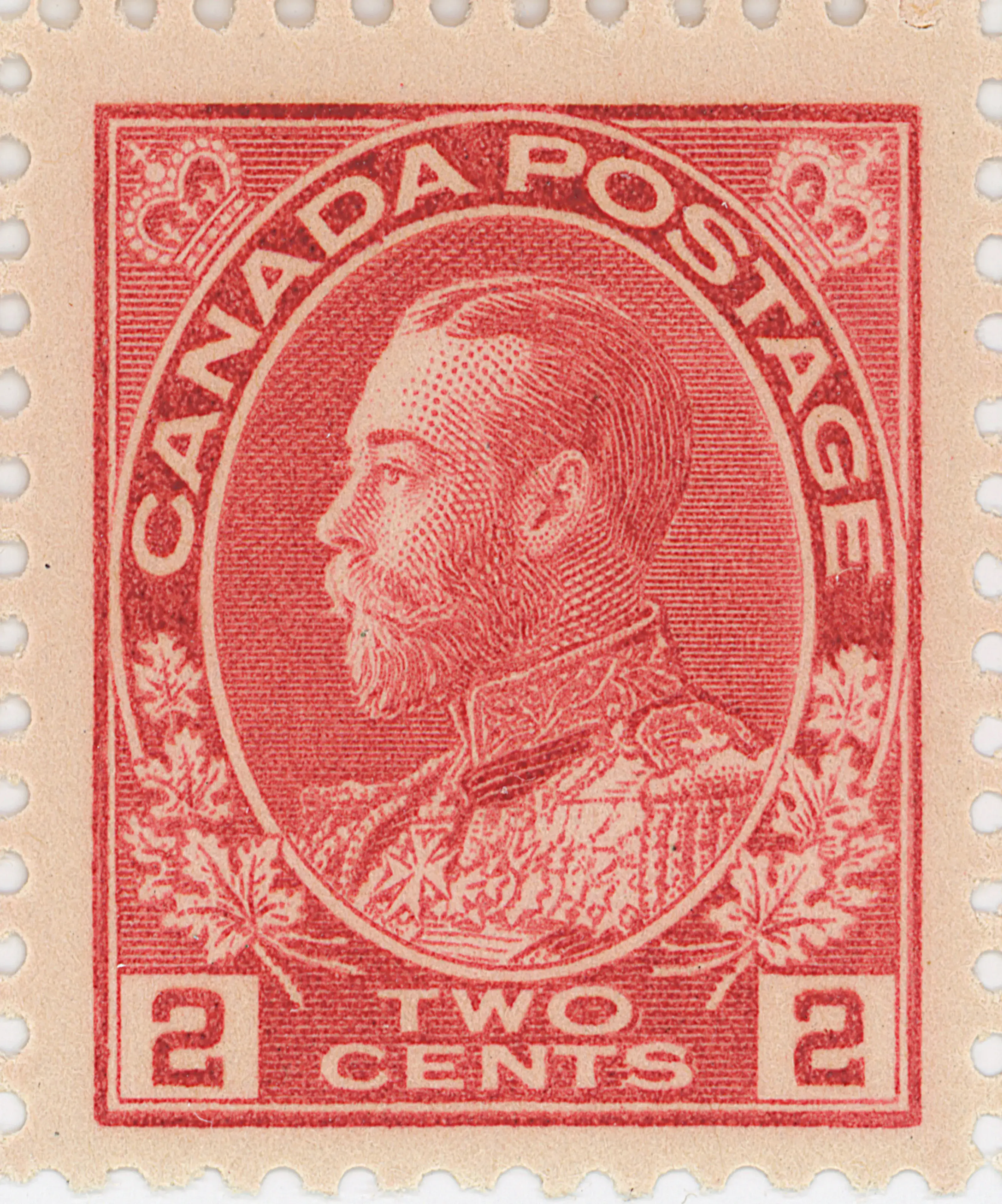 2¢C Plate 90 mt L.webp