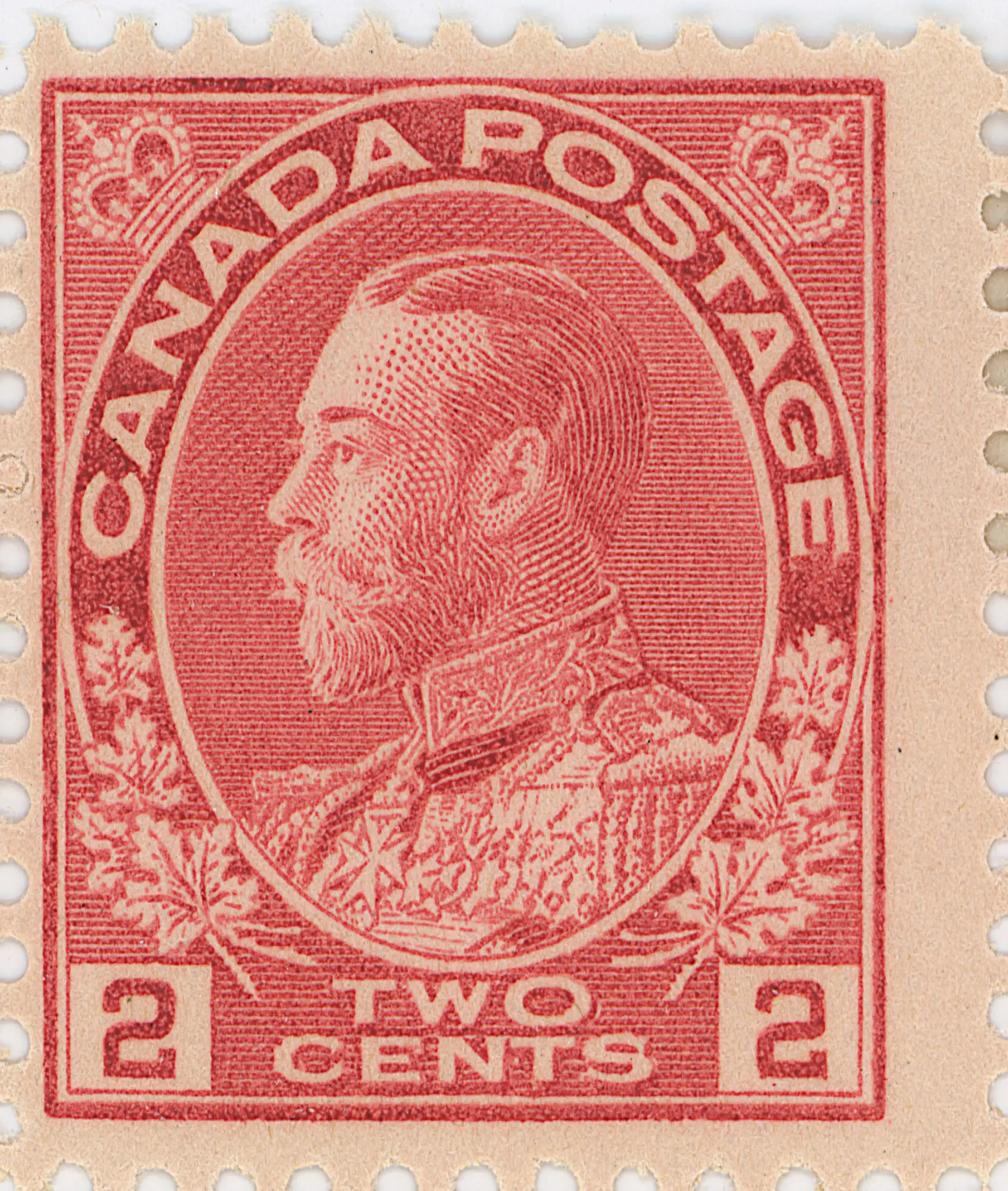 2¢C Plate 90 mt O.webp