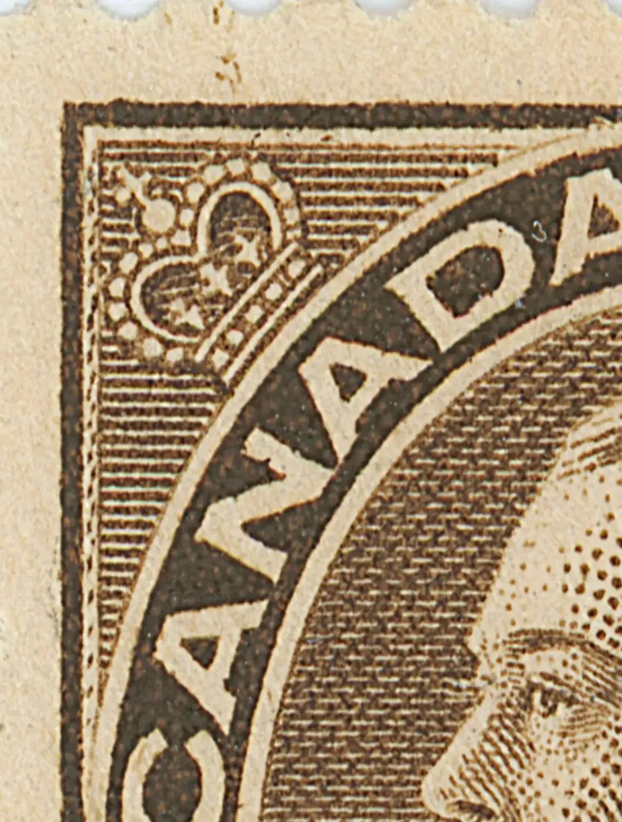 3¢B SOD 2.webp